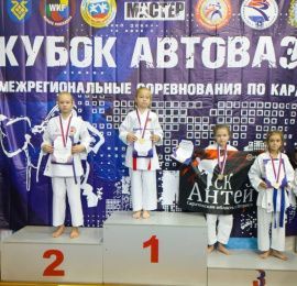 Петровские каратисты завоевали 14 медалей на межрегиональных соревнованиях