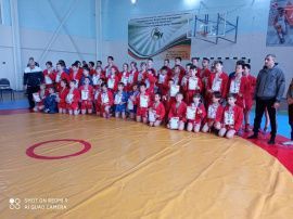 Петровские самбисты стали призёрами областных соревнований