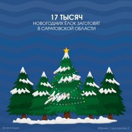 17 тысяч новогодних елок заготовят в Саратовской области